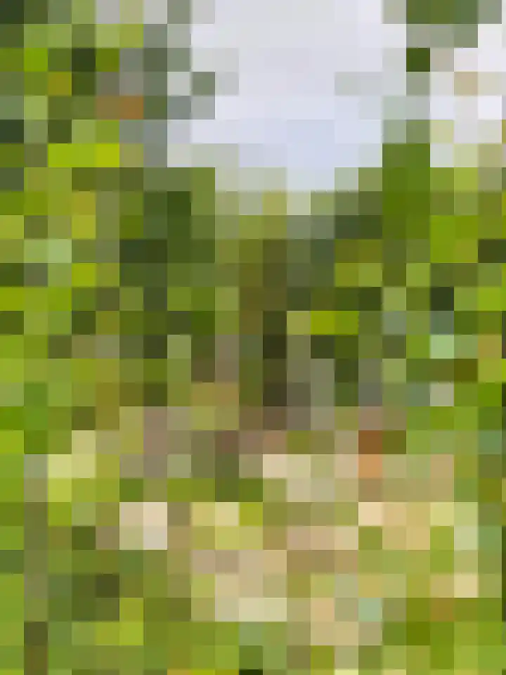 Achterhoven 60 a Zutphen thumbnail 47