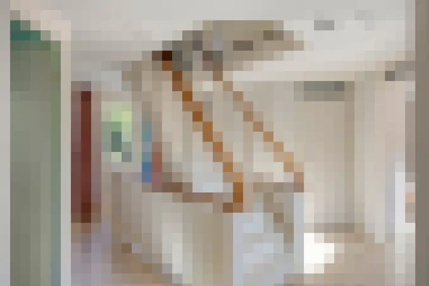 Achterhuis 15 Oud-Beijerland thumbnail 19