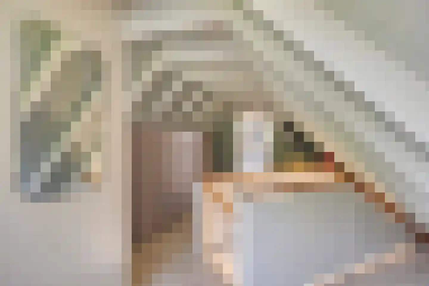 Achterhuis 15 Oud-Beijerland thumbnail 30