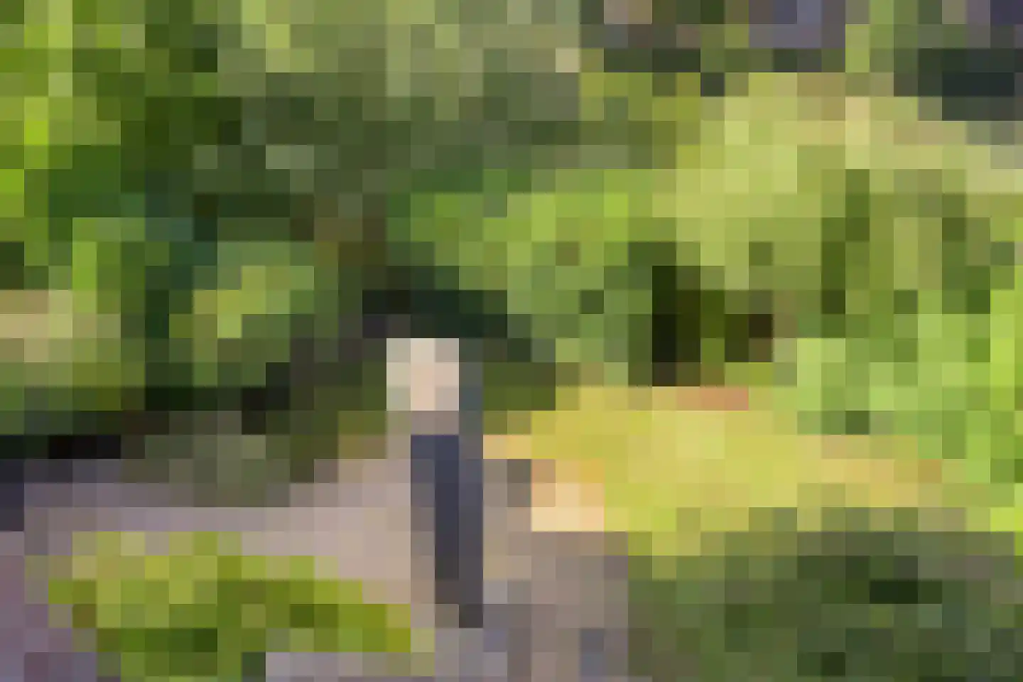 Achterhuis 15 Oud-Beijerland thumbnail 34