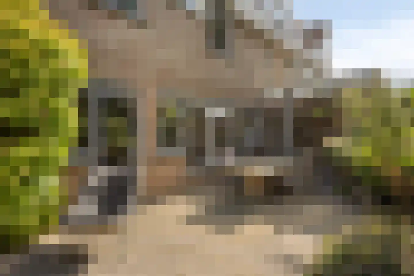 Achterhuis 15 Oud-Beijerland thumbnail 37