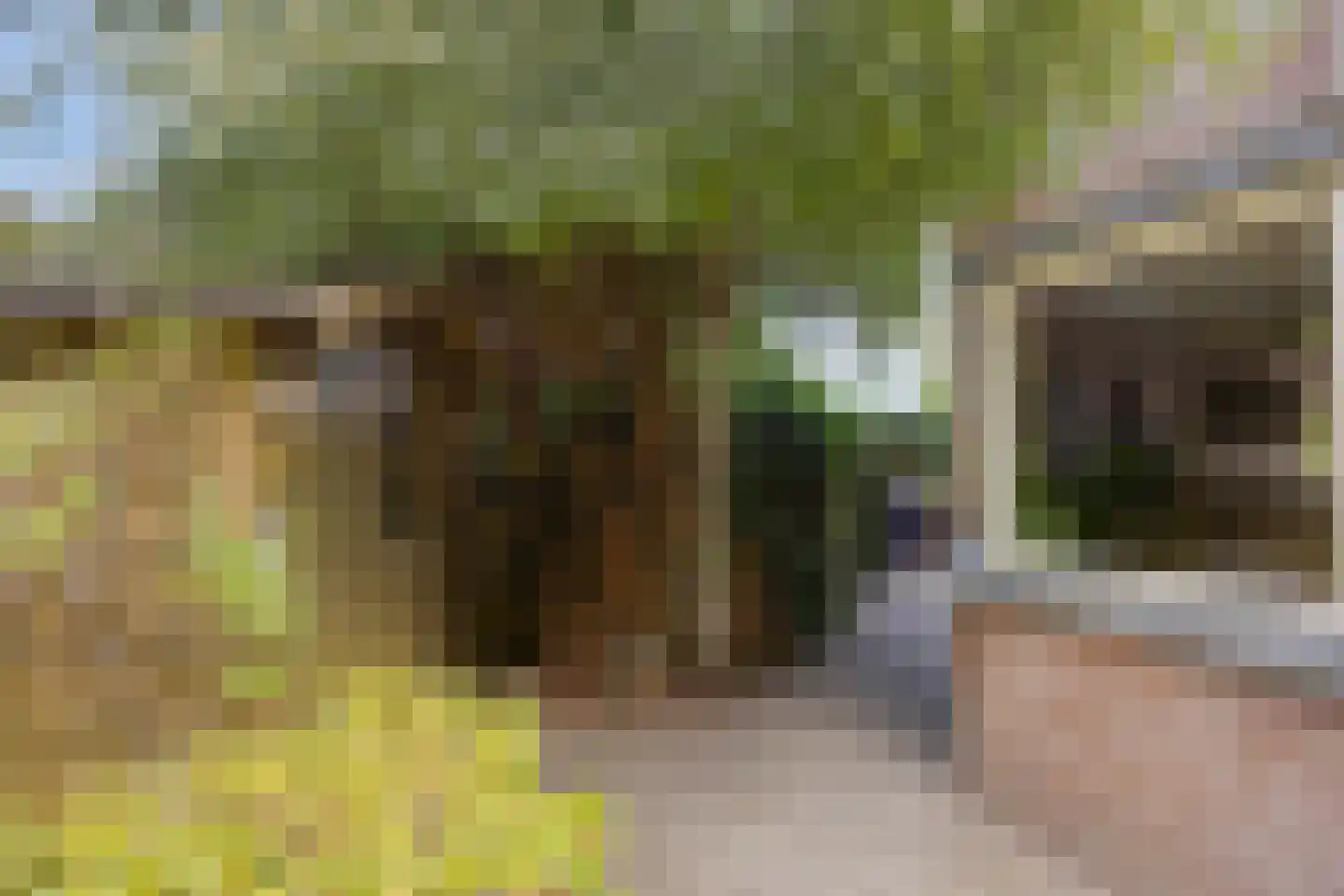 Achterhuis 15 Oud-Beijerland thumbnail 38