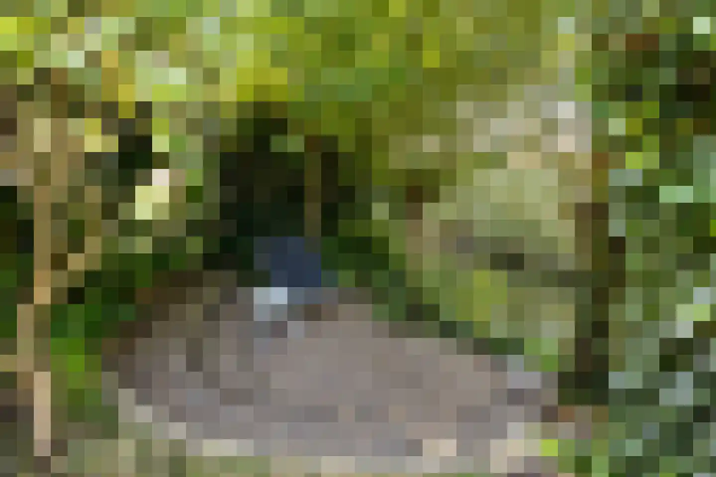 Achterhuis 15 Oud-Beijerland thumbnail 39