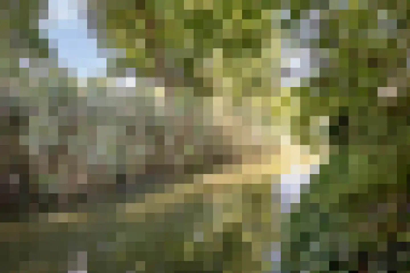Achterhuis 15 Oud-Beijerland thumbnail 40