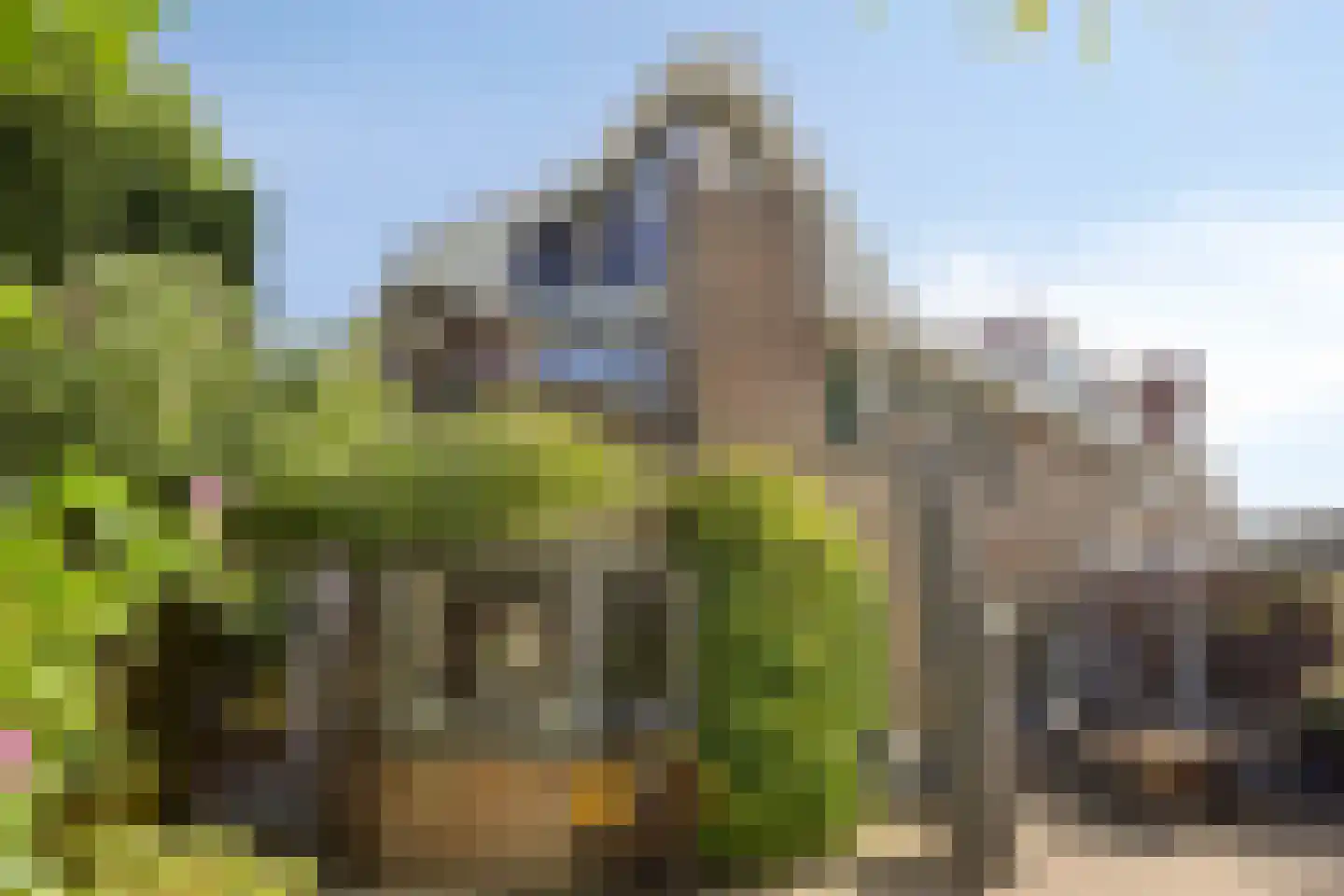 Achterhuis 15 Oud-Beijerland thumbnail 41