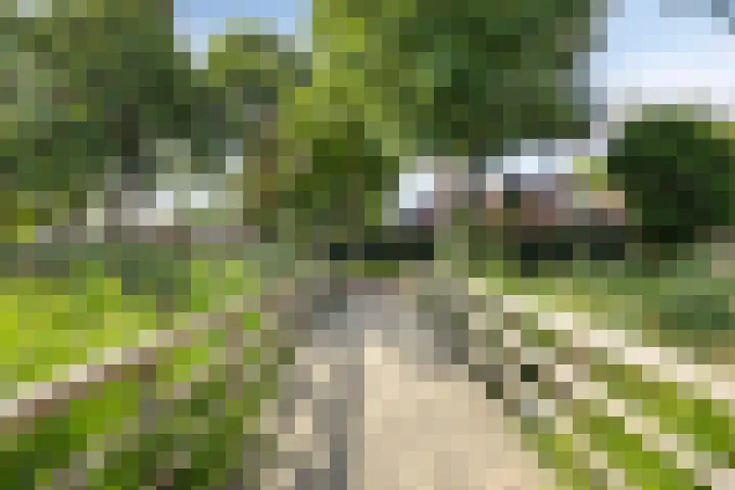 Achterhuis 15 Oud-Beijerland thumbnail 44