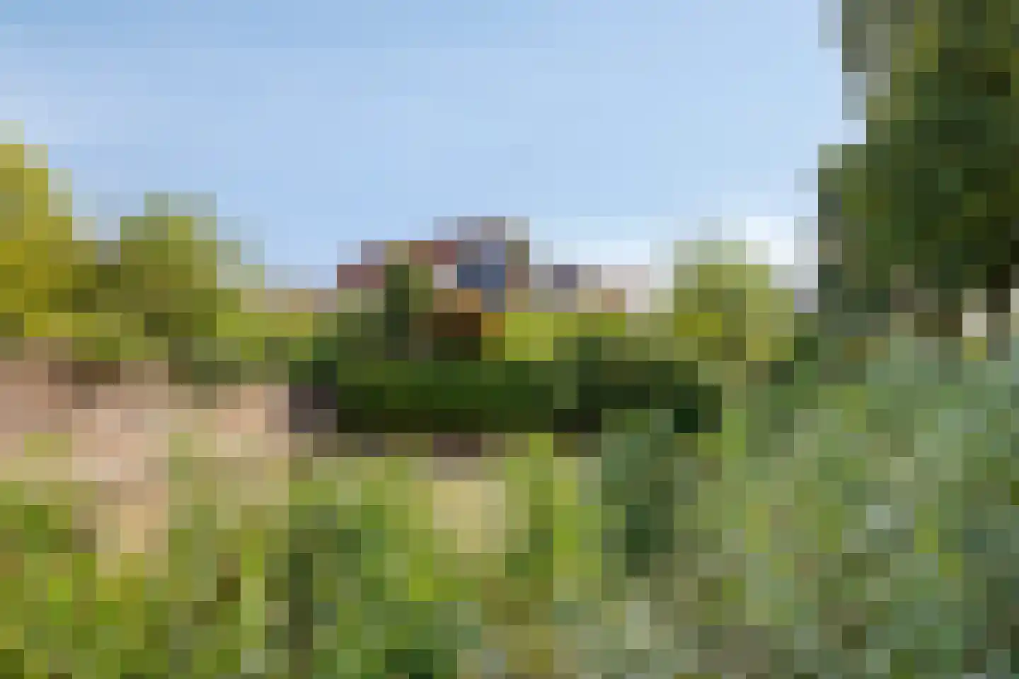 Achterhuis 15 Oud-Beijerland thumbnail 45