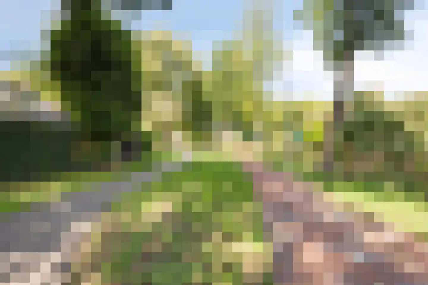 Achterhuis 15 Oud-Beijerland thumbnail 46