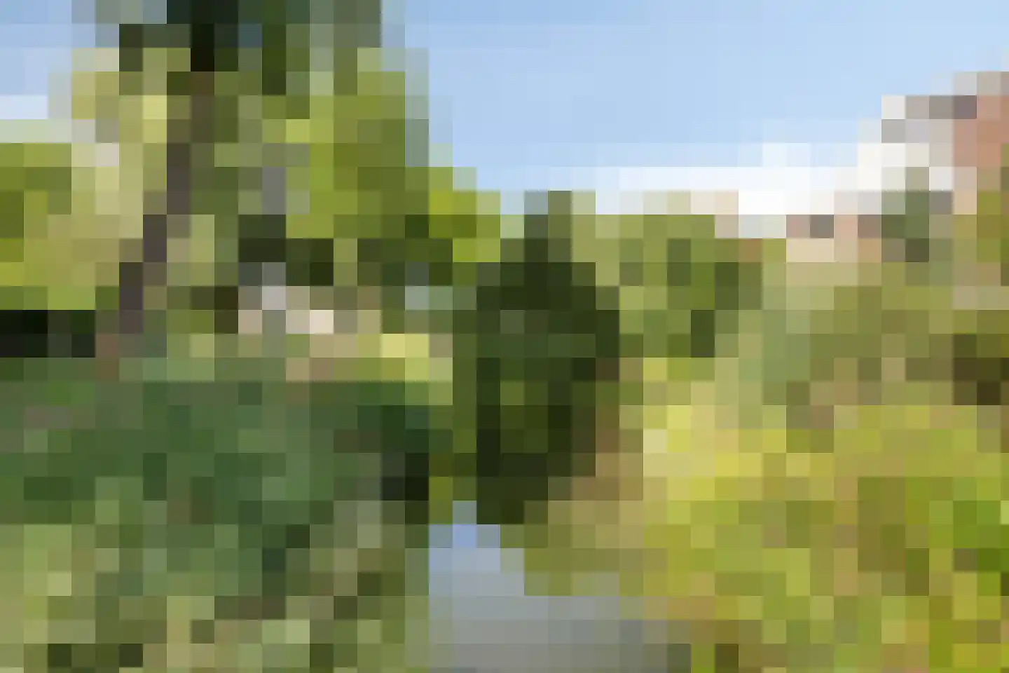 Achterhuis 15 Oud-Beijerland thumbnail 47