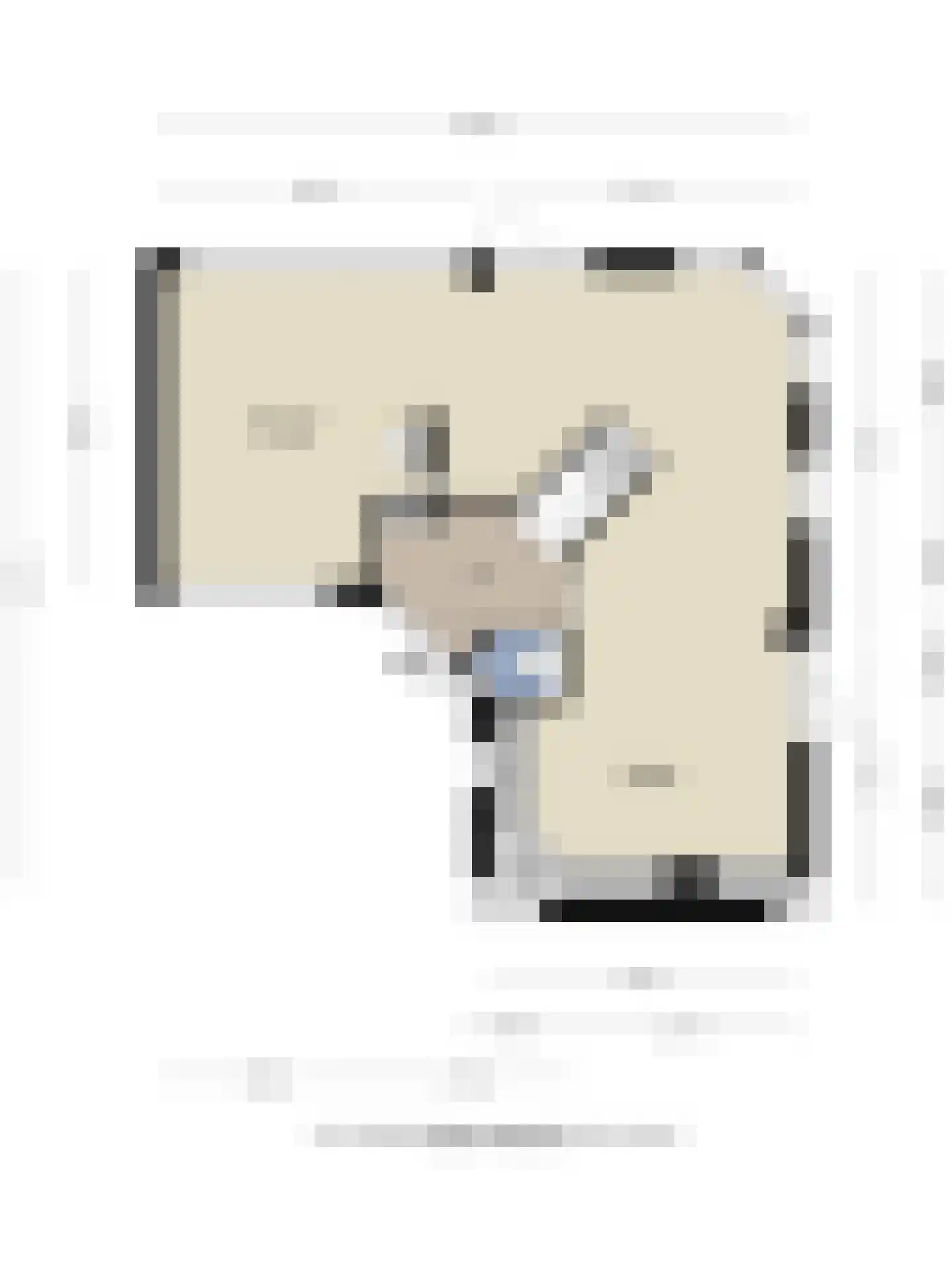Achterhuis 15 Oud-Beijerland thumbnail 53