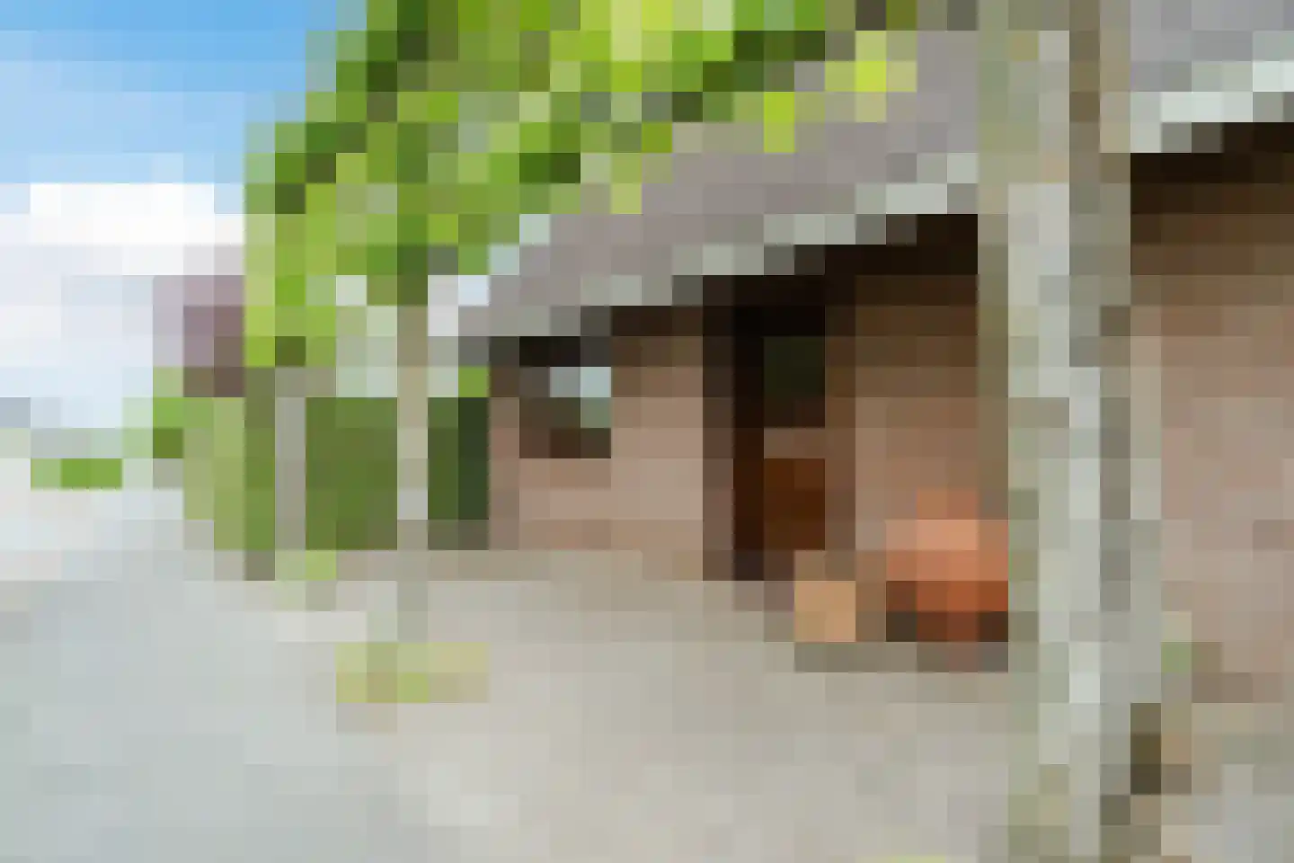 Achterhuizen 2 A Dongen thumbnail 10