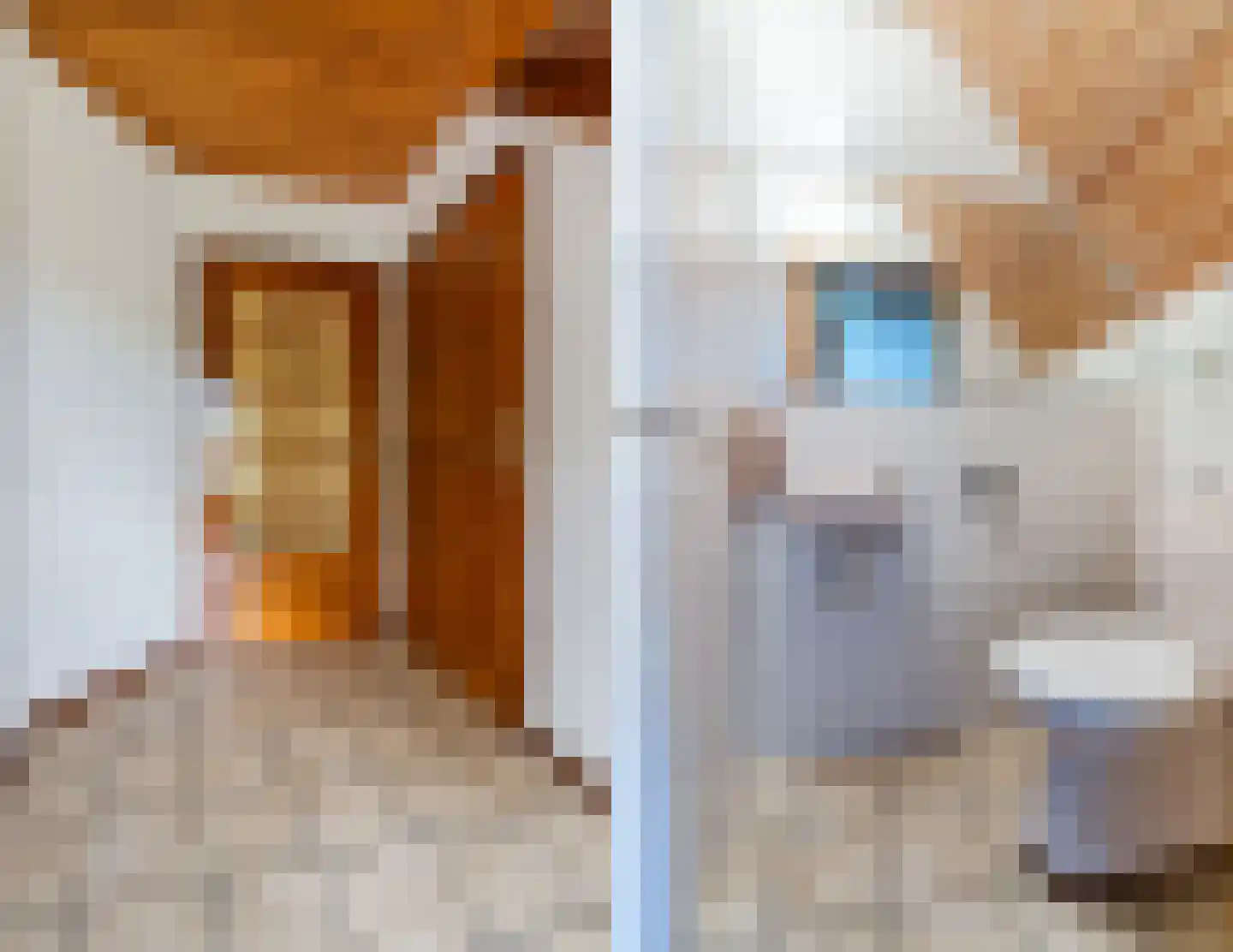 Achterhuizen 2 A Dongen thumbnail 12