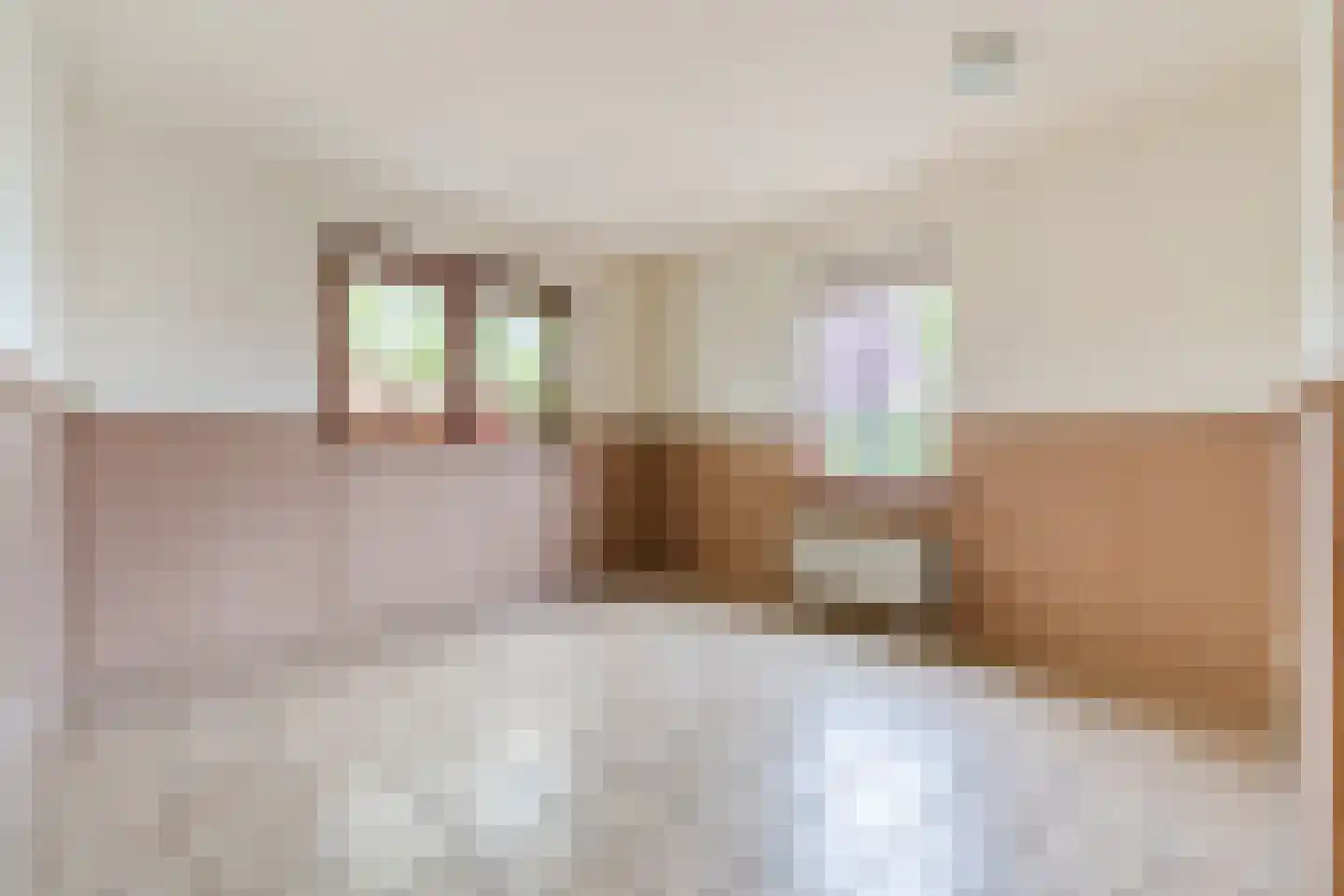 Achterhuizen 2 A Dongen thumbnail 16