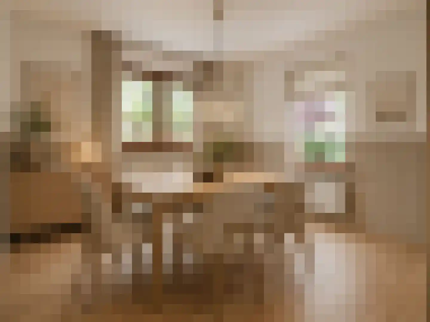 Achterhuizen 2 A Dongen thumbnail 17