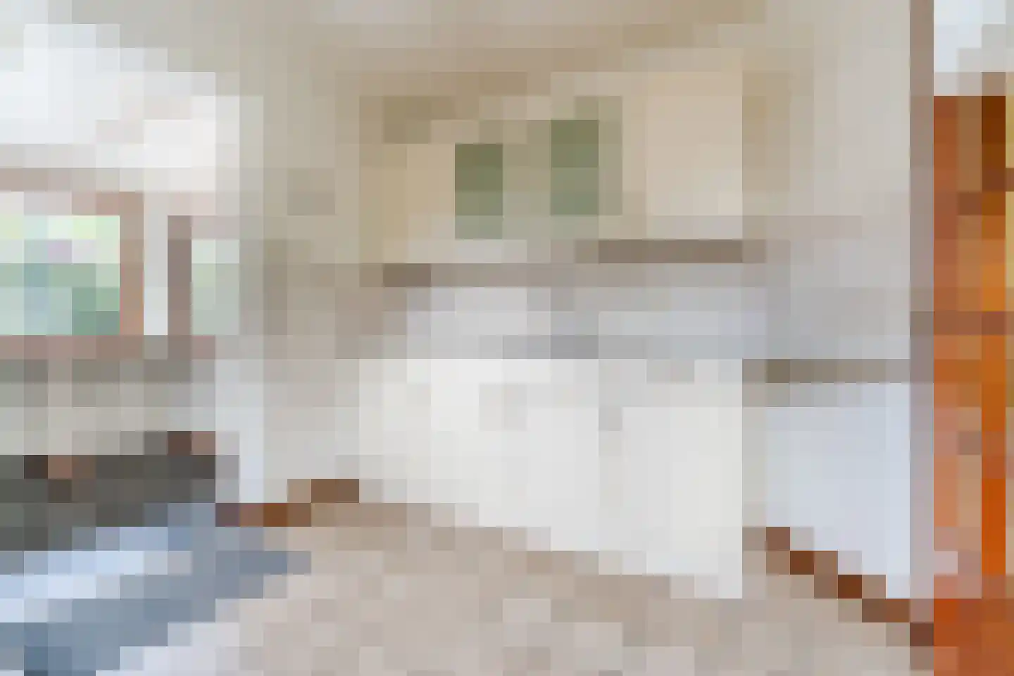 Achterhuizen 2 A Dongen thumbnail 19