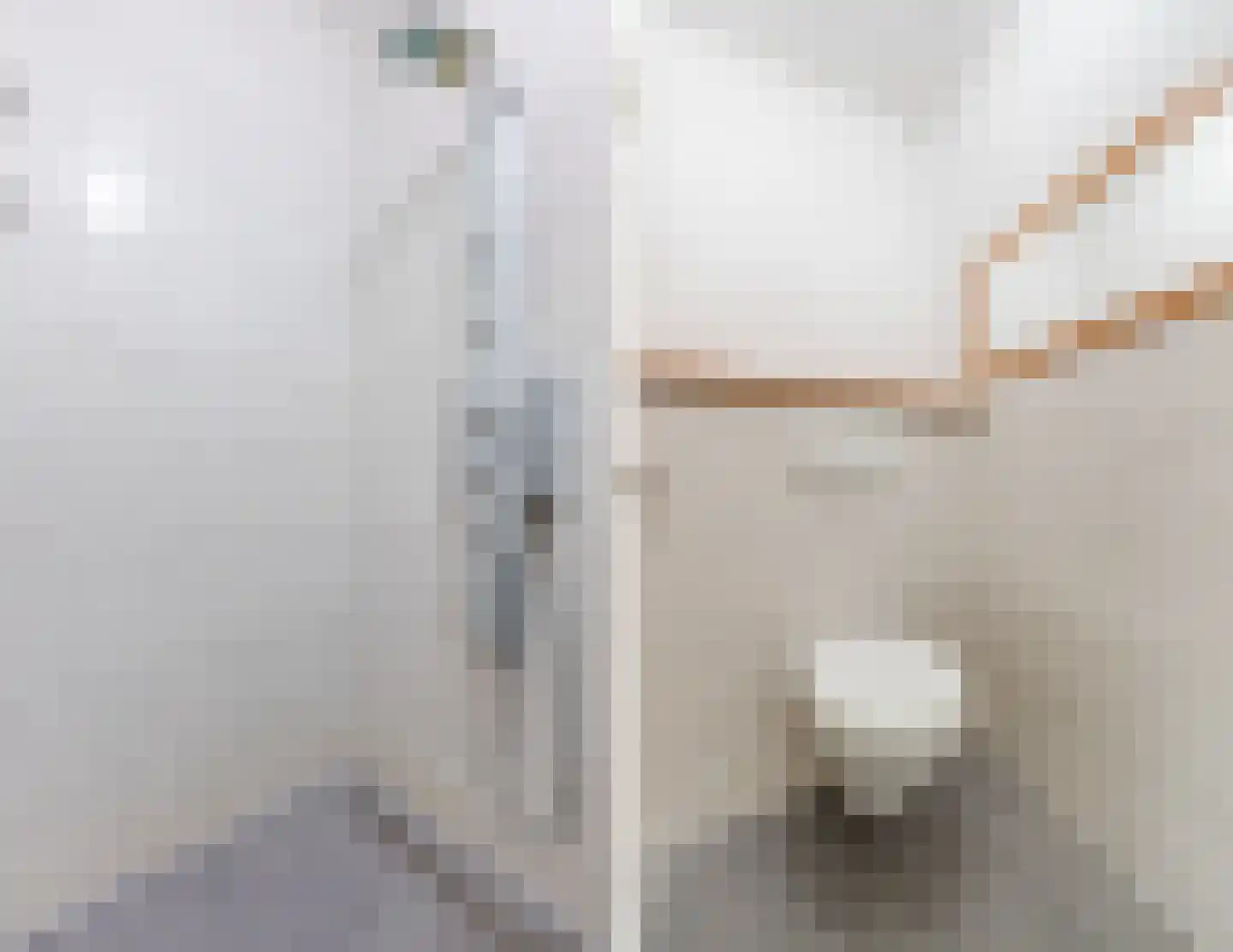Achterhuizen 2 A Dongen thumbnail 28