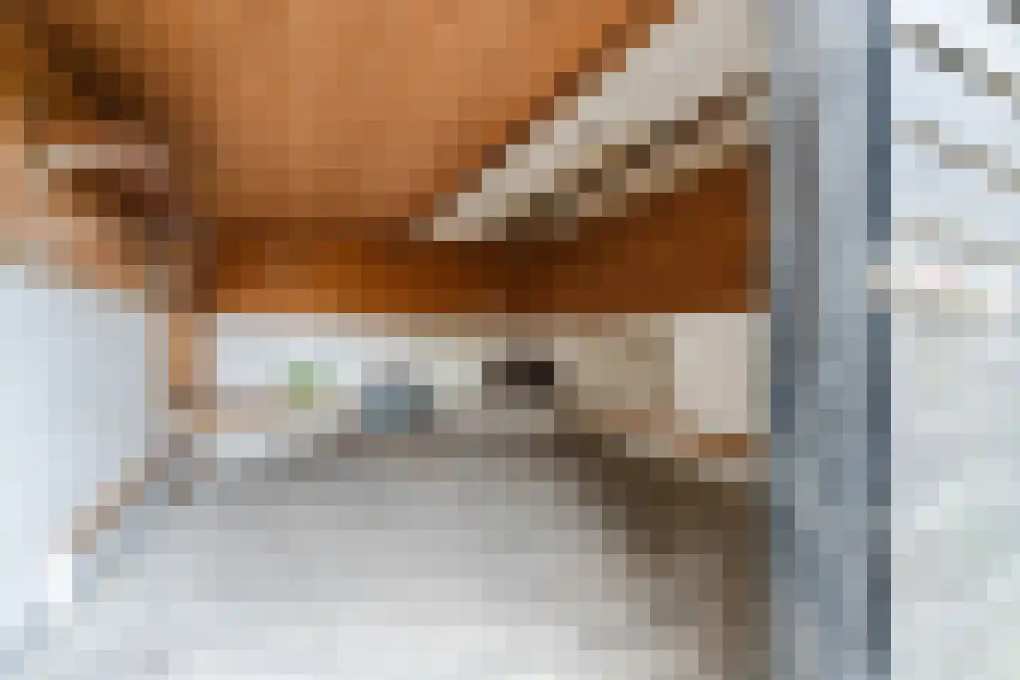 Achterhuizen 2 A Dongen thumbnail 31