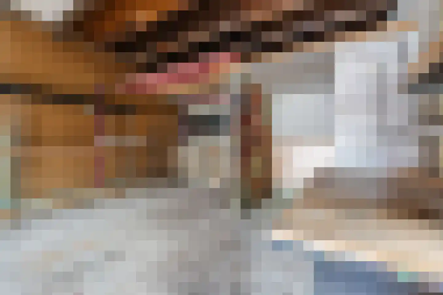 Achterhuizen 2 A Dongen thumbnail 32