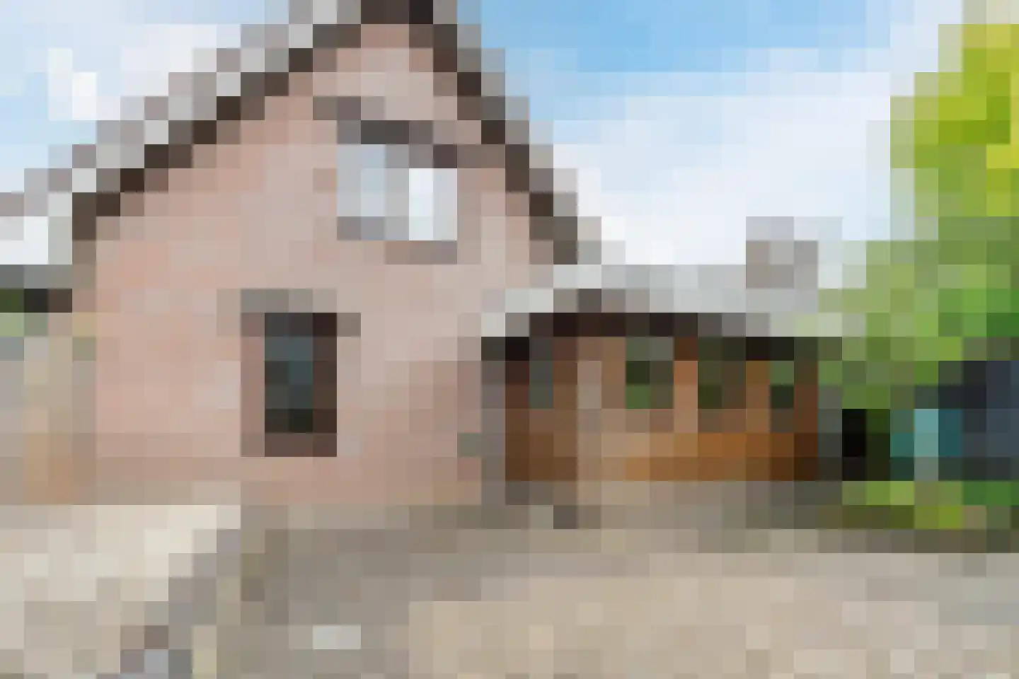 Achterhuizen 2 A Dongen thumbnail 34