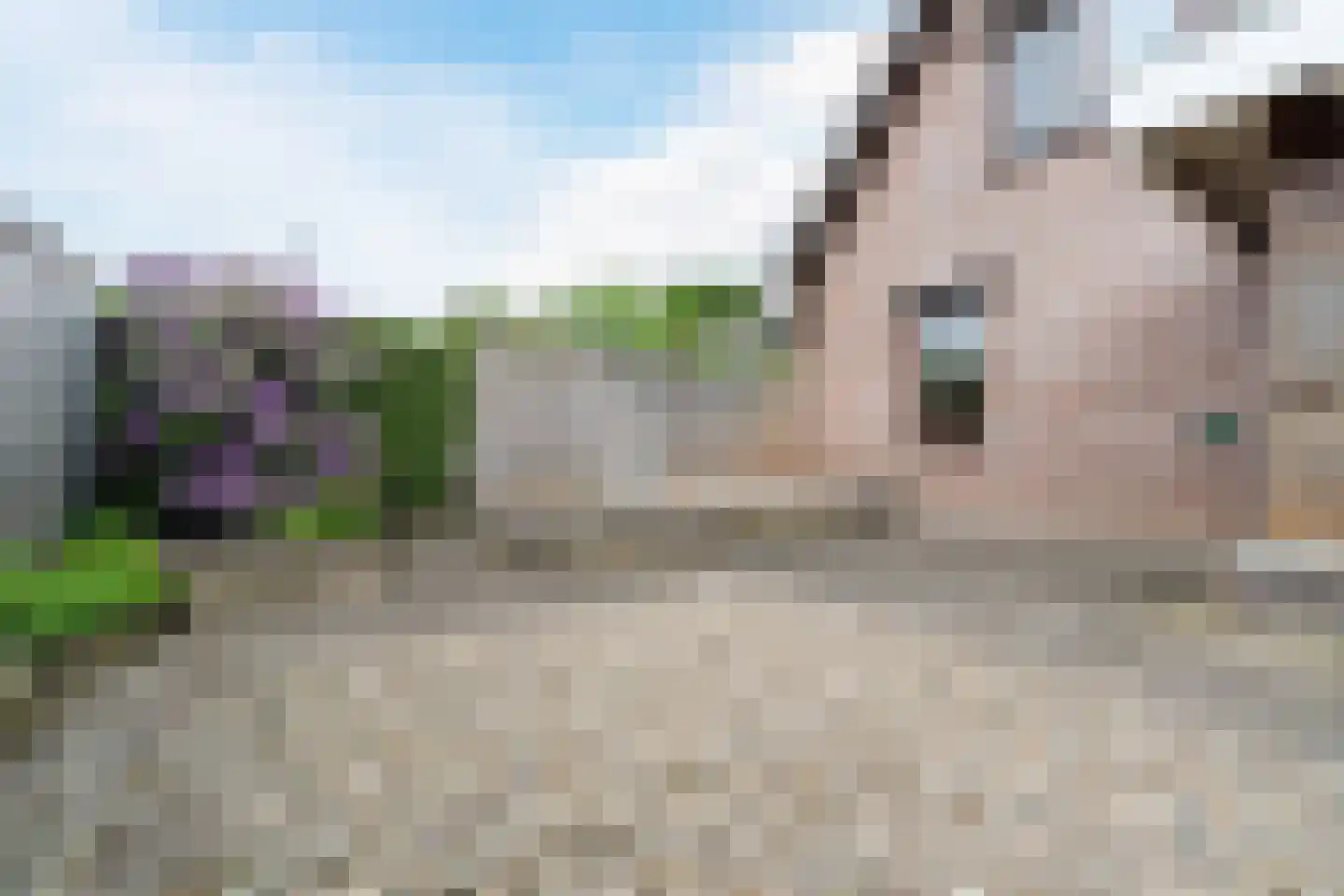 Achterhuizen 2 A Dongen thumbnail 38