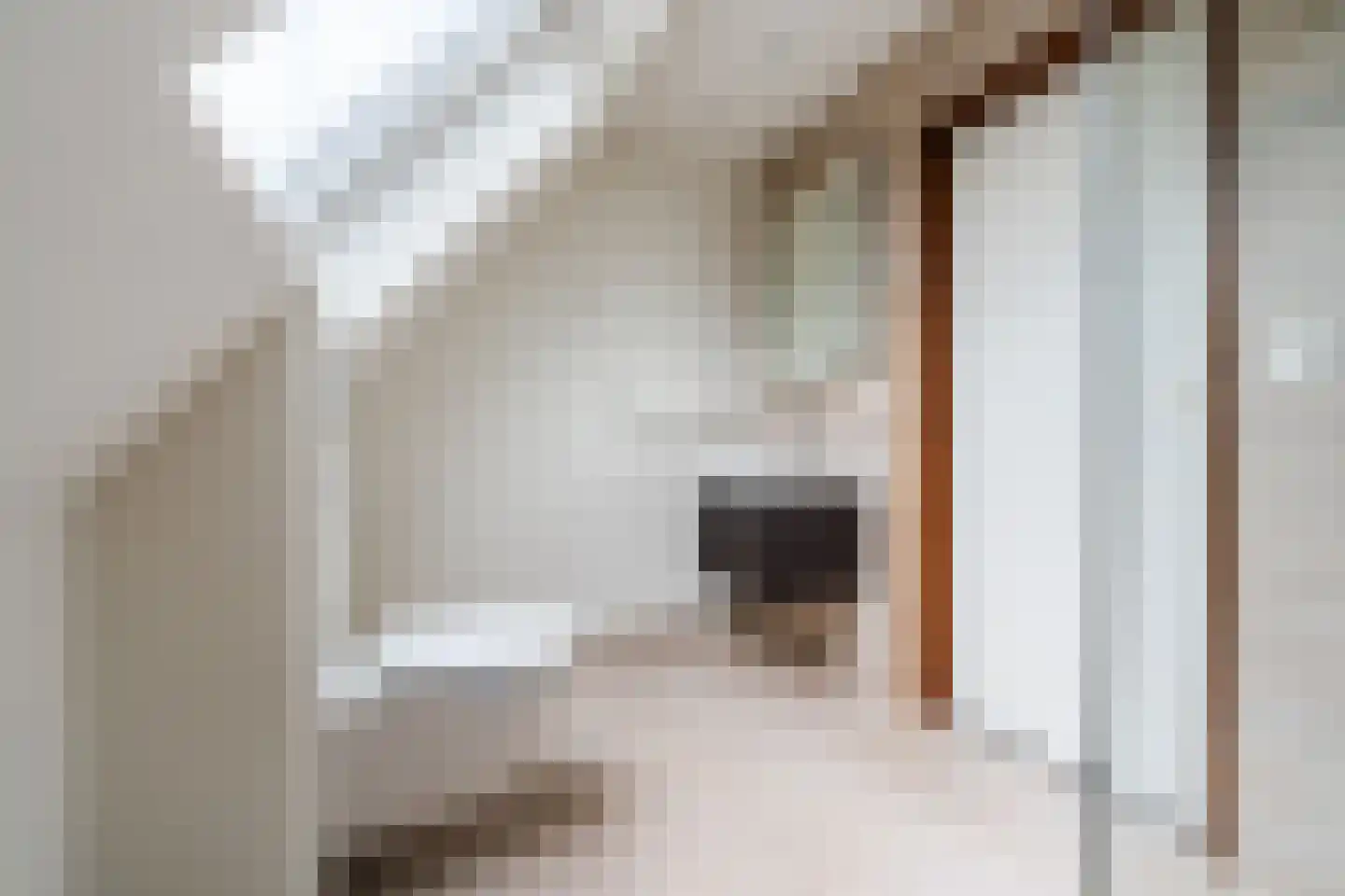 Achterhuizen 2 A Dongen thumbnail 4