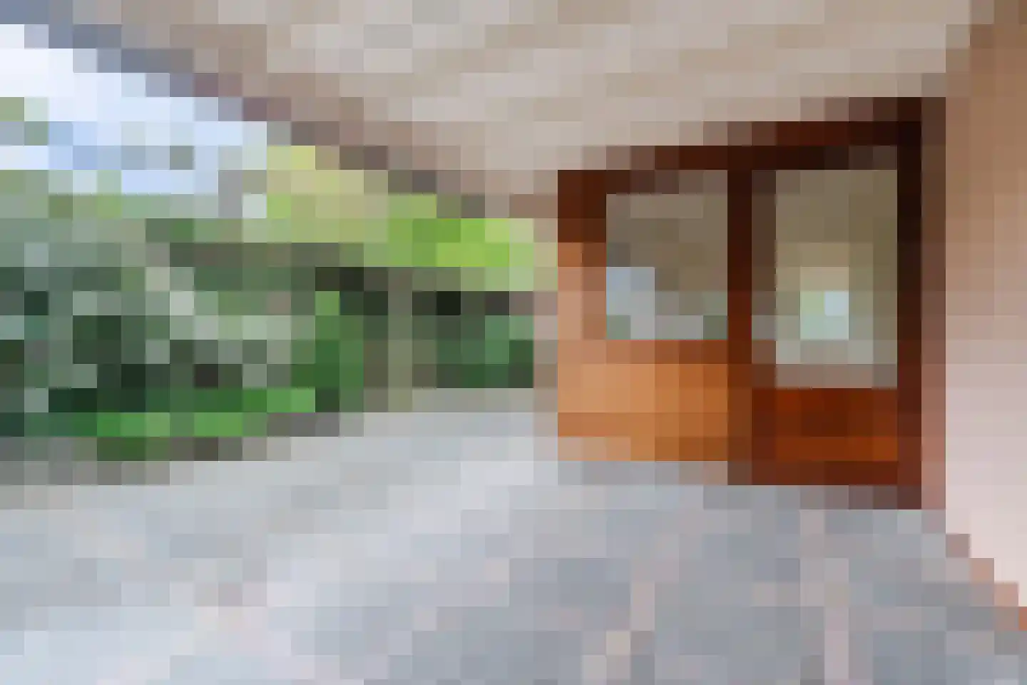 Achterhuizen 2 A Dongen thumbnail 43