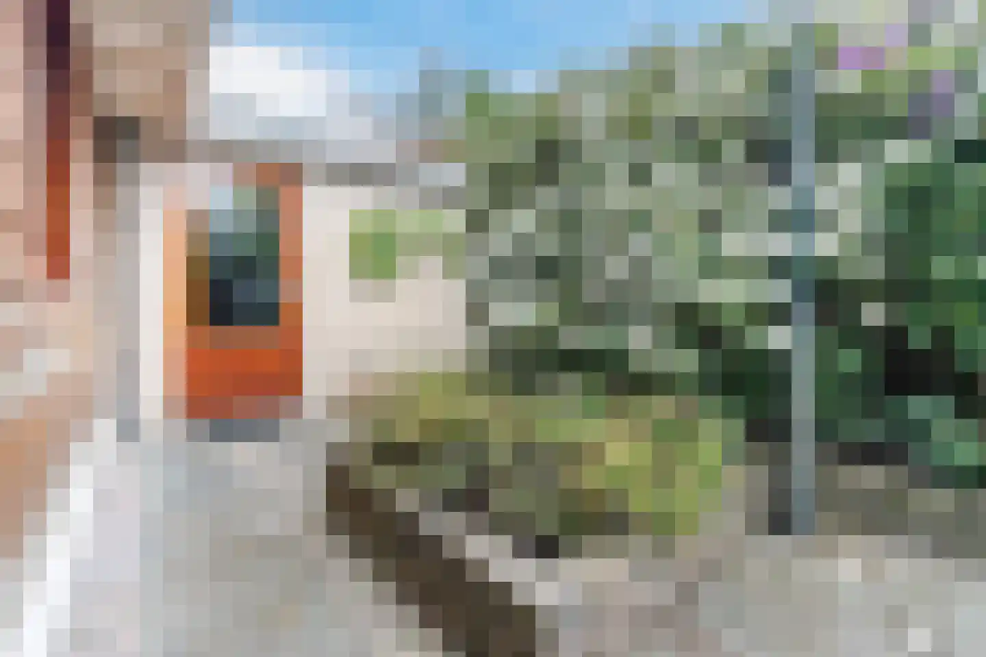 Achterhuizen 2 A Dongen thumbnail 45