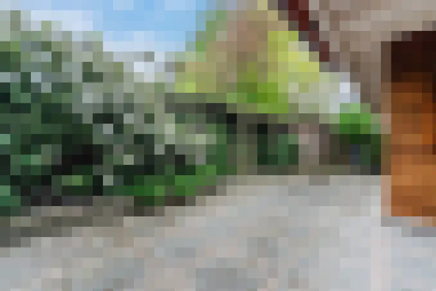 Achterhuizen 2 A Dongen thumbnail 46