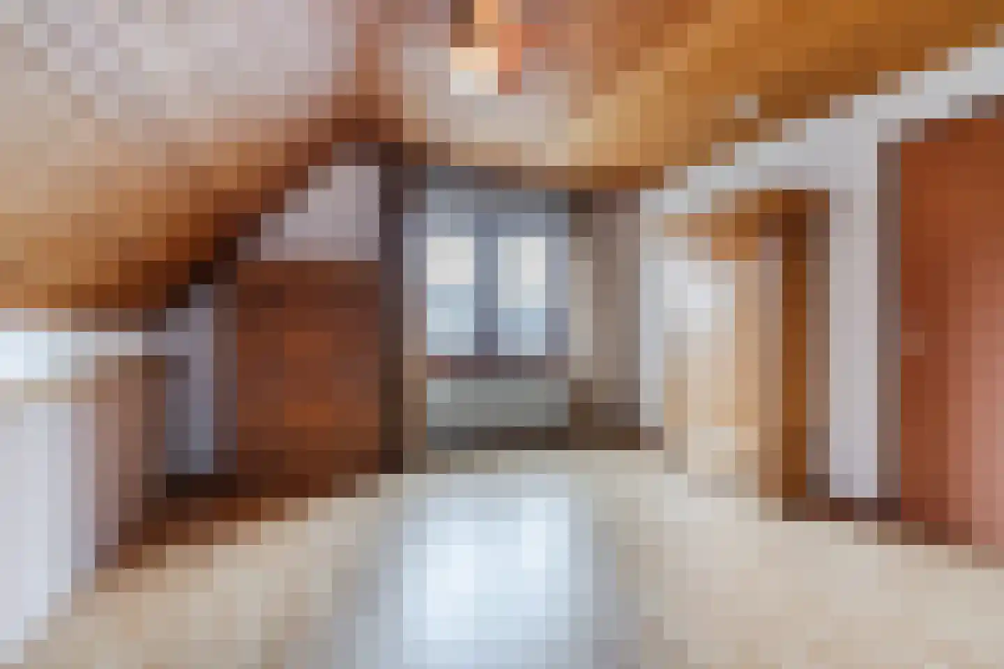 Achterhuizen 2 A Dongen thumbnail 49