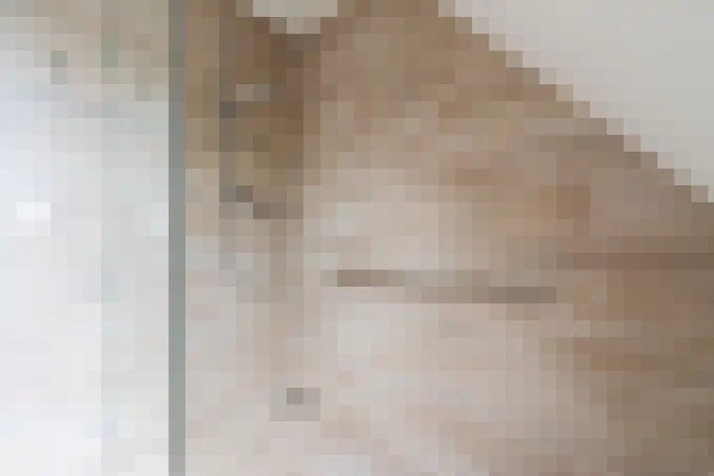 Achterhuizen 2 A Dongen thumbnail 56