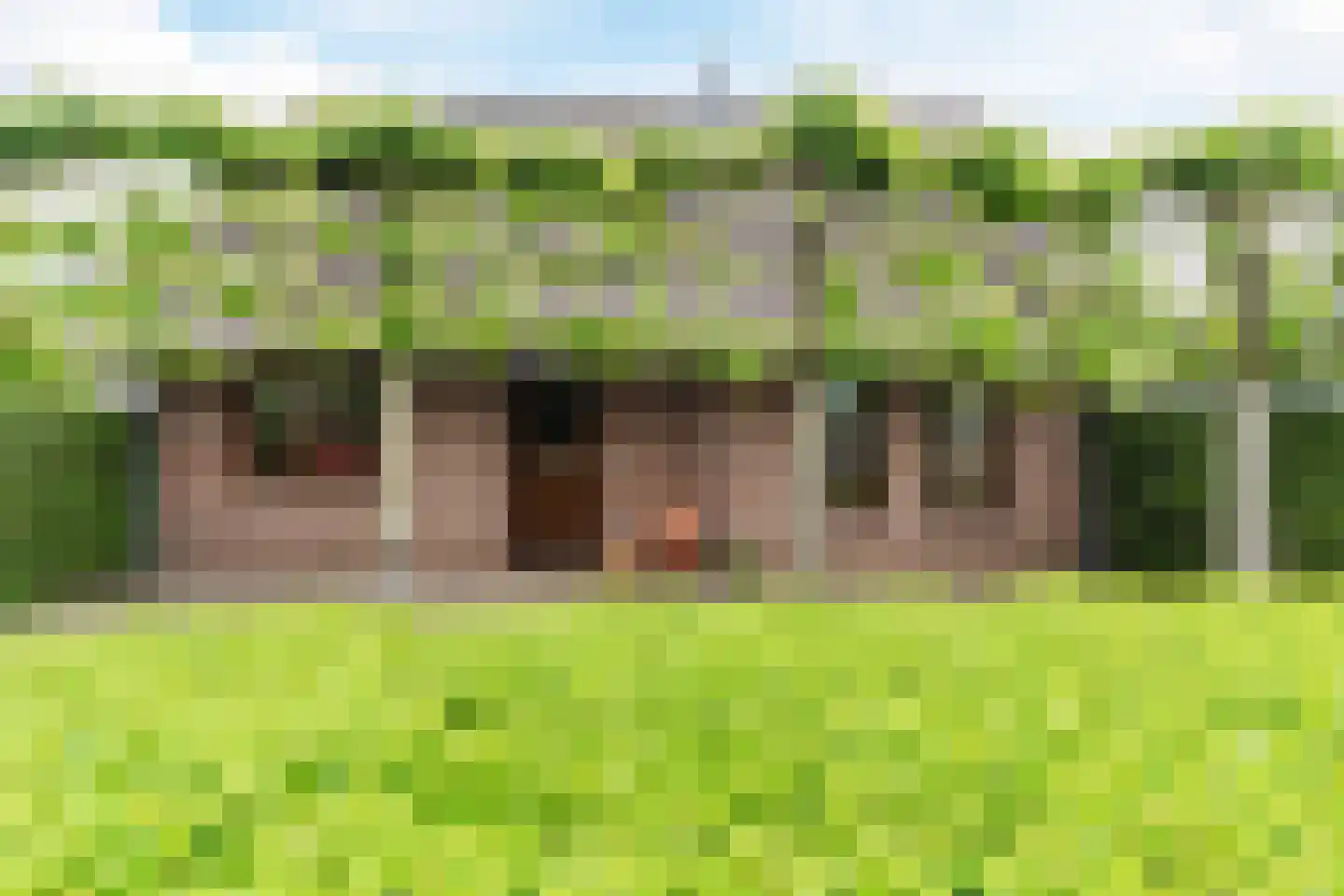 Achterhuizen 2 A Dongen thumbnail 8