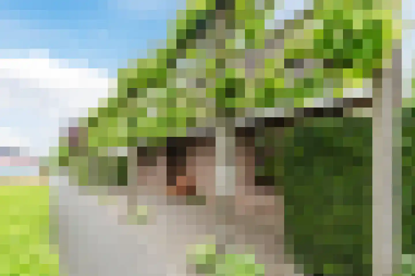 Achterhuizen 2 A Dongen thumbnail 9