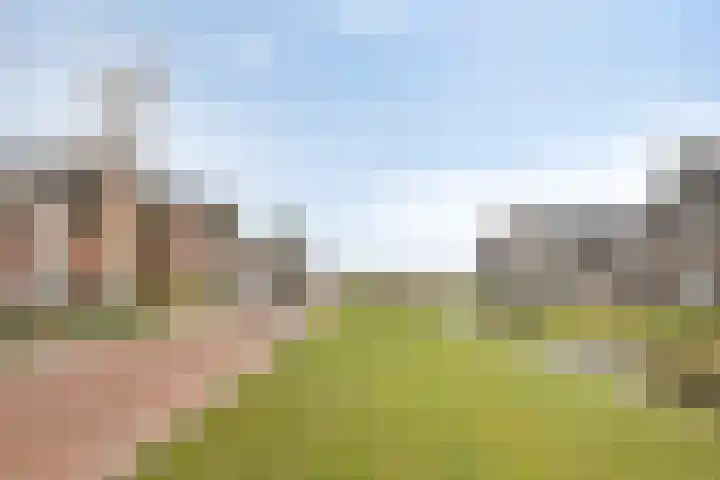 Achterhuizensticht 16 Dongen thumbnail 10