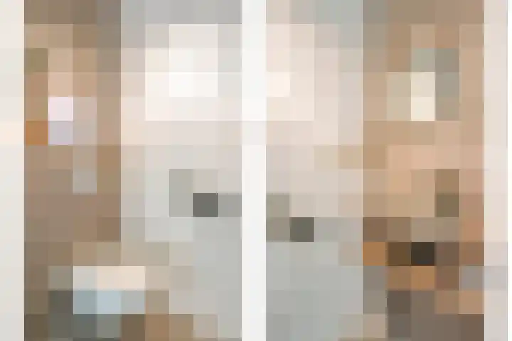 Achterhuizensticht 16 Dongen thumbnail 14