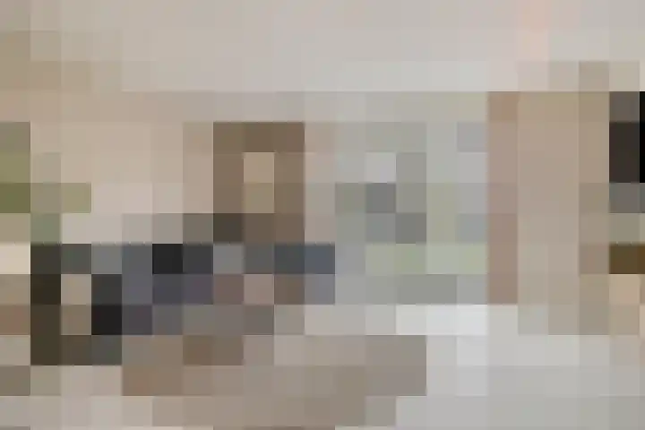 Achterhuizensticht 16 Dongen foto 2