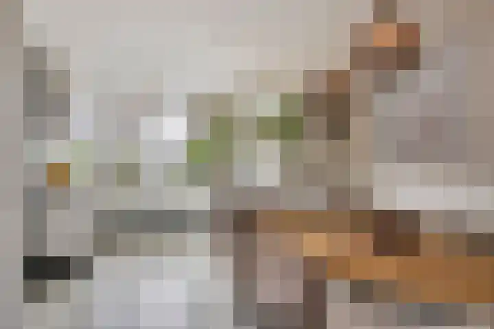 Achterhuizensticht 16 Dongen thumbnail 23