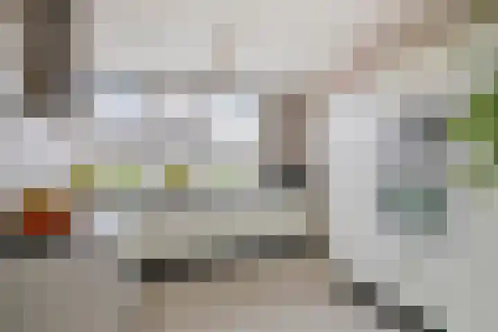 Achterhuizensticht 16 Dongen thumbnail 24