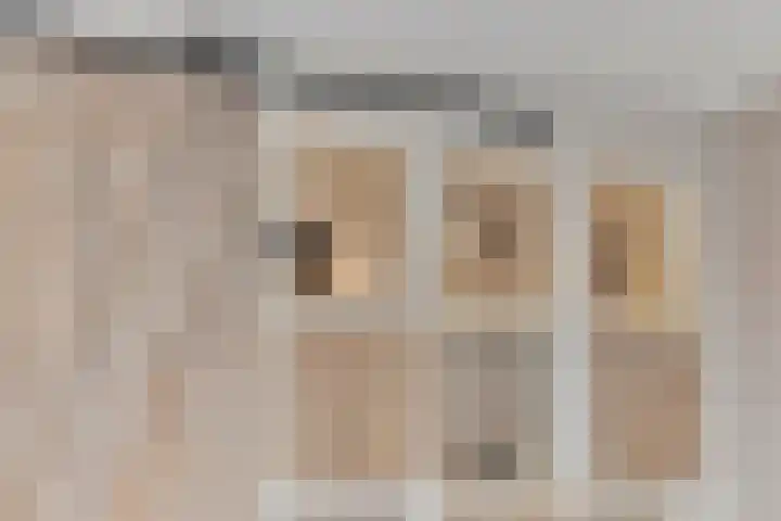Achterhuizensticht 16 Dongen thumbnail 28