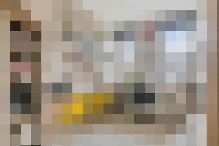 Achterhuizensticht 16 Dongen thumbnail 33
