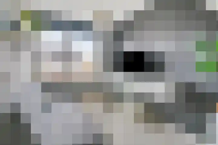 Achterhuizensticht 16 Dongen thumbnail 37