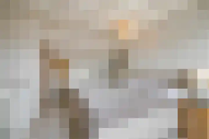 Achterhuizensticht 16 Dongen thumbnail 4