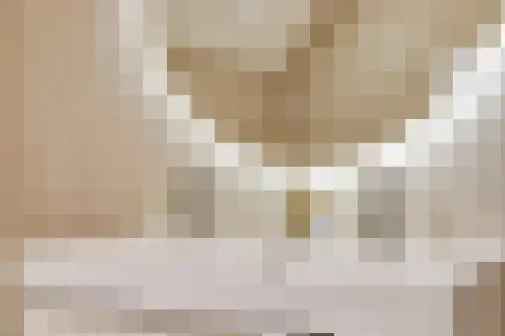 Achterhuizensticht 16 Dongen thumbnail 40