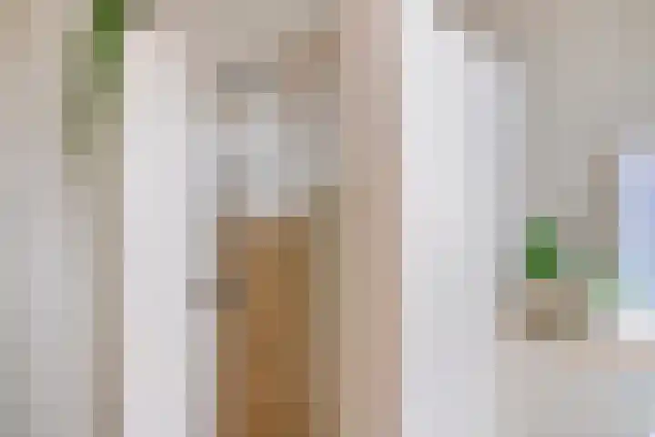 Achterhuizensticht 16 Dongen thumbnail 41
