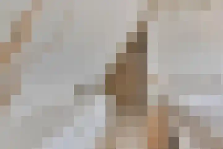 Achterhuizensticht 16 Dongen thumbnail 45