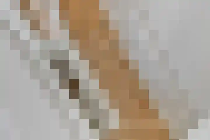Achterhuizensticht 16 Dongen thumbnail 48