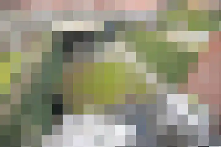 Achterhuizensticht 16 Dongen thumbnail 49