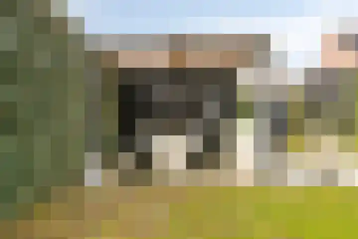 Achterhuizensticht 16 Dongen thumbnail 53
