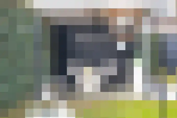 Achterhuizensticht 16 Dongen thumbnail 56