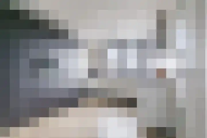 Achterhuizensticht 6 Dongen thumbnail 12