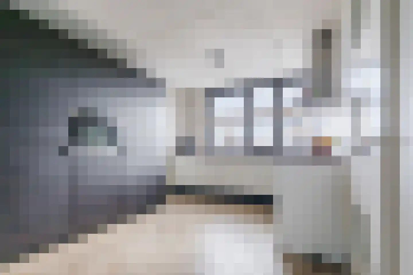 Achterhuizensticht 6 Dongen thumbnail 12